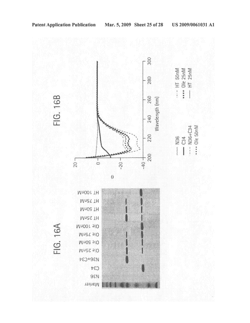 Compositions and methods for treating obesity, obesity related disorders and for inhibiting the infectivity of human immunodeficiency virus - diagram, schematic, and image 26