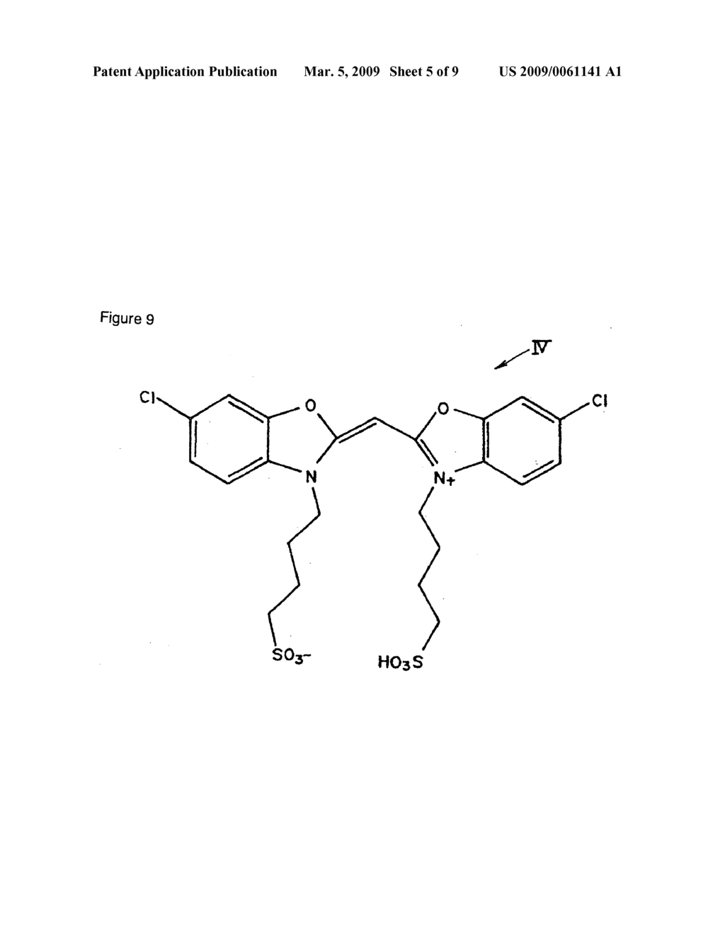 Monomethine dye compound, optical information recording medium utilizing the compound and process for producing the same - diagram, schematic, and image 06