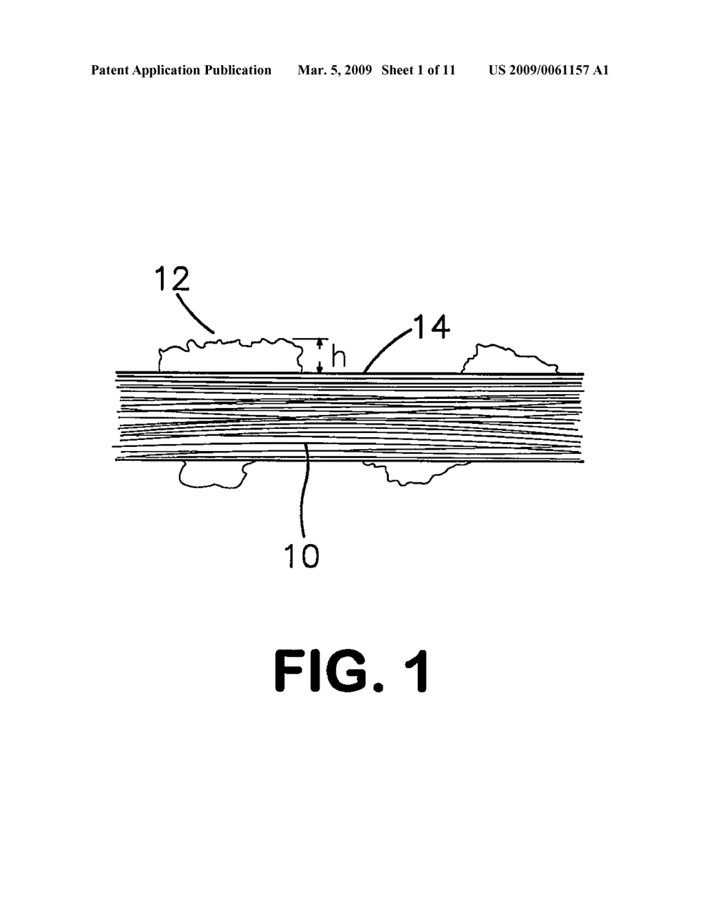 Expanded PTFE Articles and Method of Making Same - diagram, schematic, and image 02