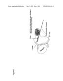 Binary signaling assay using a split-polymerase diagram and image