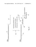 Methods and compositions for rapid amplification, capture and detection of nucleic acids and proteins diagram and image