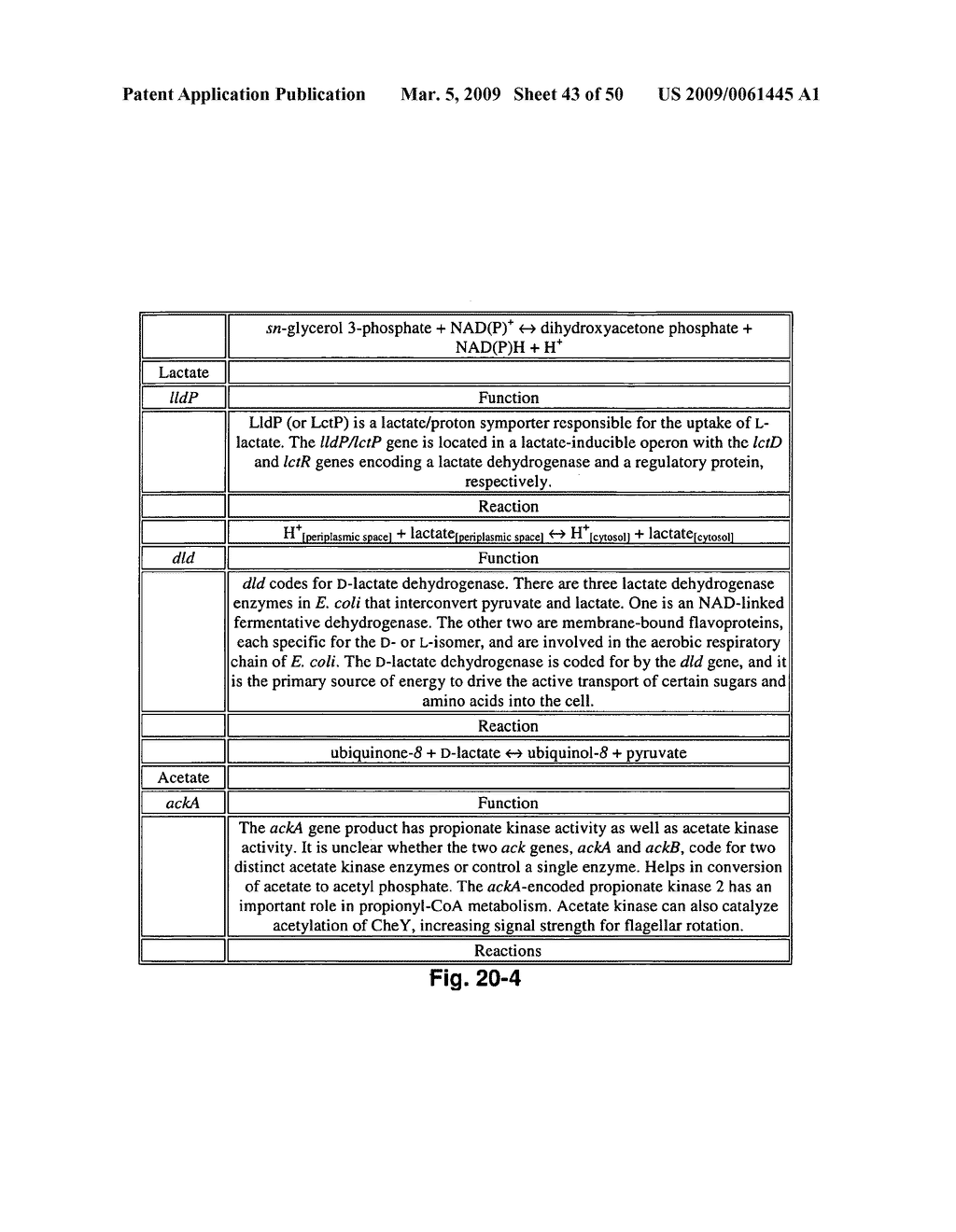 FLUX BALANCE ANALYSIS WITH MOLECULAR CROWDING - diagram, schematic, and image 44