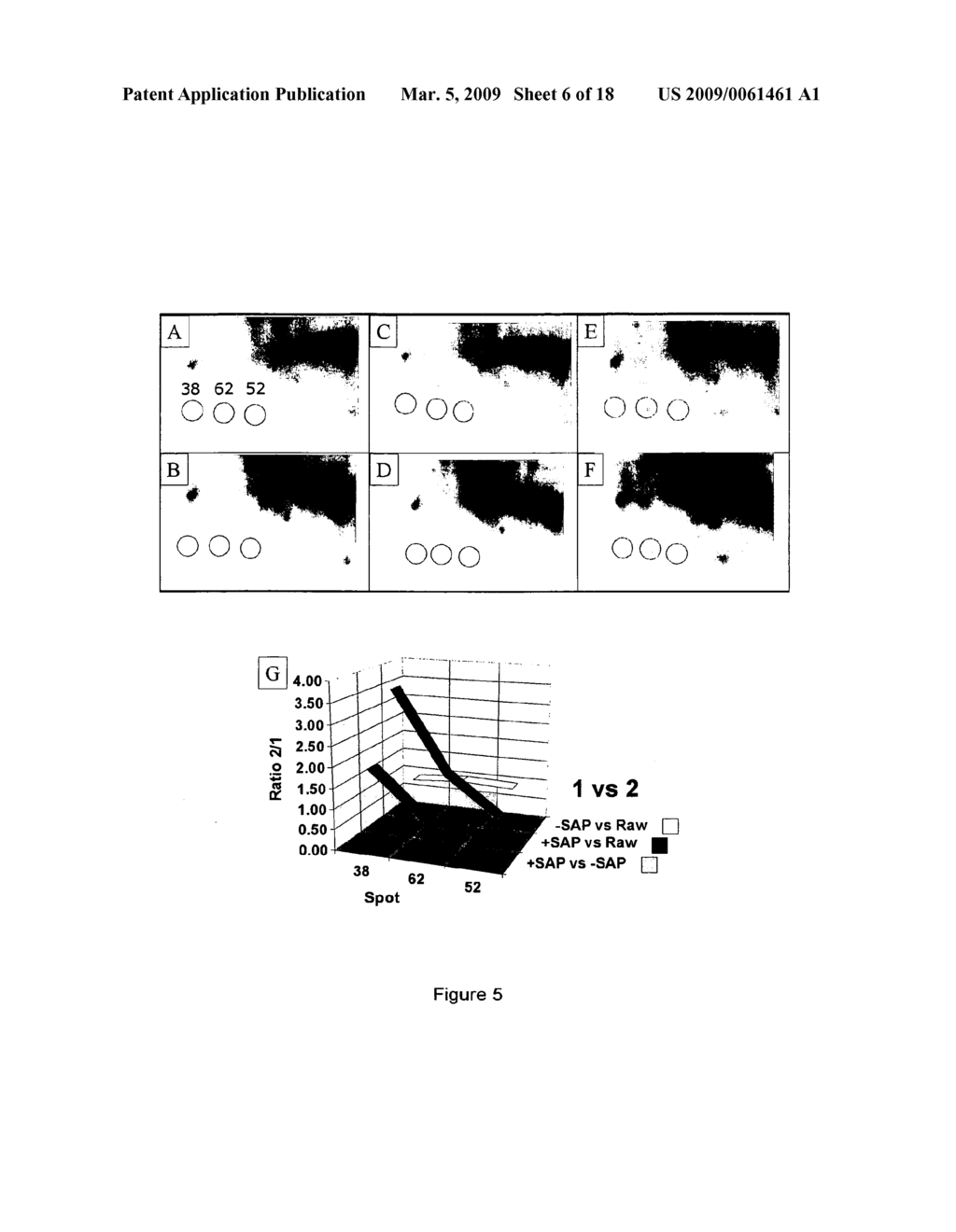 Phosphorylated or Non-Phosphorylated MPR as Diagnostic Marker or Therapeutic Target - diagram, schematic, and image 07