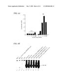 NUCLEOTIDE SEQUENCE ENCODING A MODULATOR OF NF-KB diagram and image