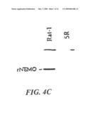 NUCLEOTIDE SEQUENCE ENCODING A MODULATOR OF NF-KB diagram and image