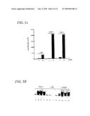 NUCLEOTIDE SEQUENCE ENCODING A MODULATOR OF NF-KB diagram and image