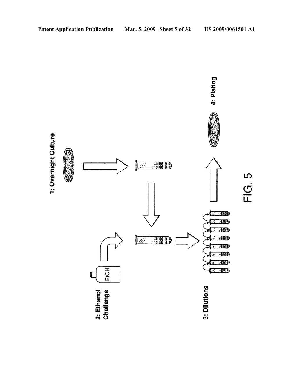 Ethanol resistant and furfural resistant strains of E. coli FBR5 for production of ethanol from cellulosic biomass - diagram, schematic, and image 06