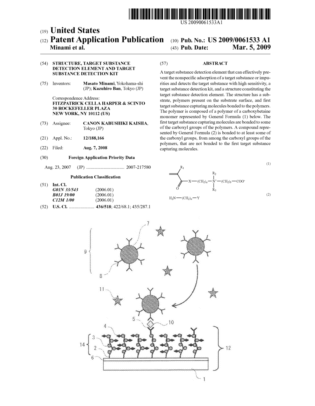 STRUCTURE, TARGET SUBSTANCE DETECTION ELEMENT AND TARGET SUBSTANCE DETECTION KIT - diagram, schematic, and image 01