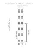 MOBILE COMMUNICATION SYSTEM AND CELL SEARCHING METHOD THEREOF diagram and image