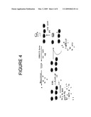 NUCLEOSOME-BASED BIOSENSOR diagram and image