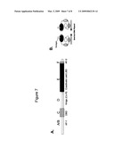 NUCLEOSOME-BASED BIOSENSOR diagram and image