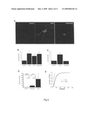 Modulation of synaptogenesis diagram and image