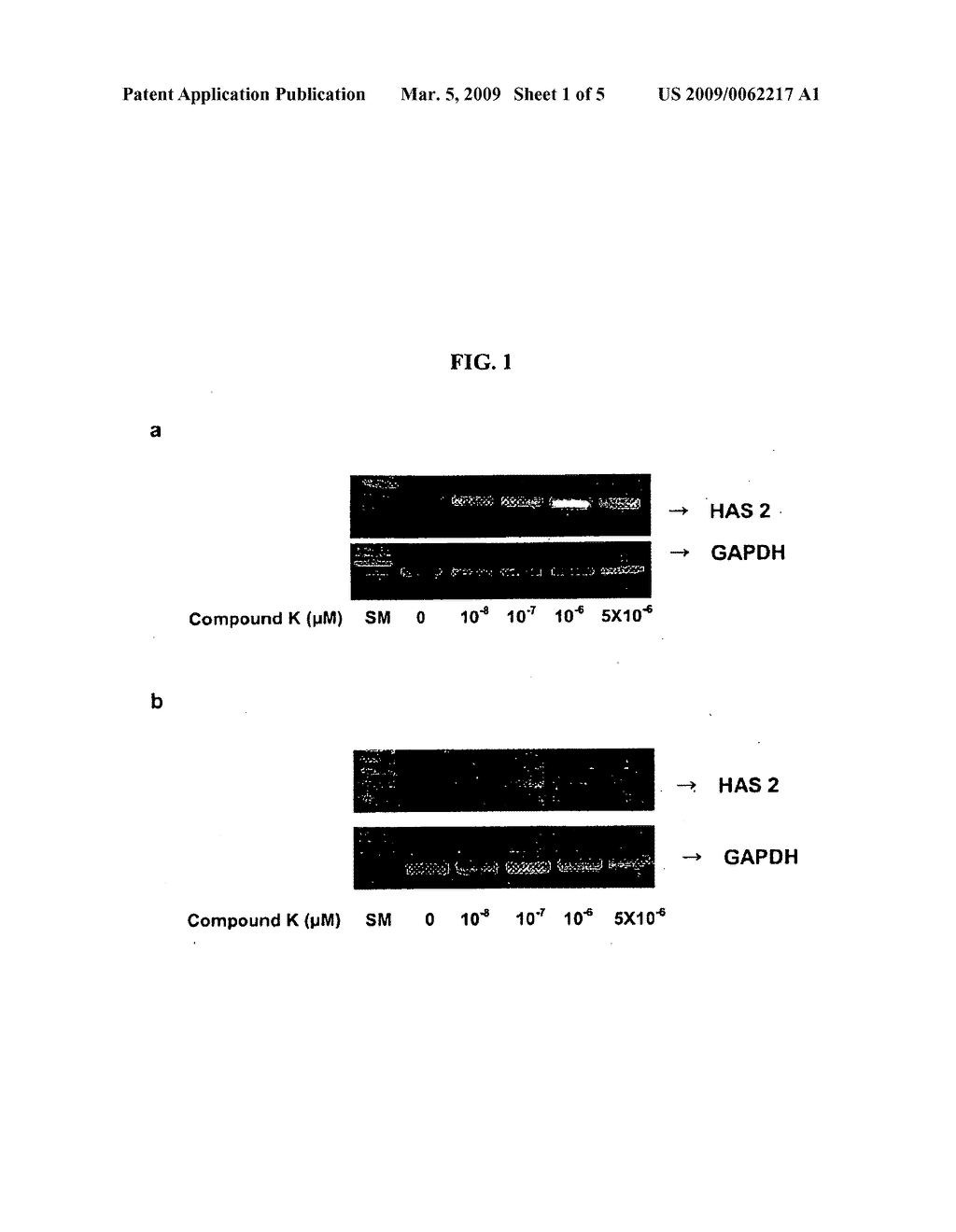 Promoter For The Production Of Hyaluronic Acid Containing Ginsenoside Compound K - diagram, schematic, and image 02