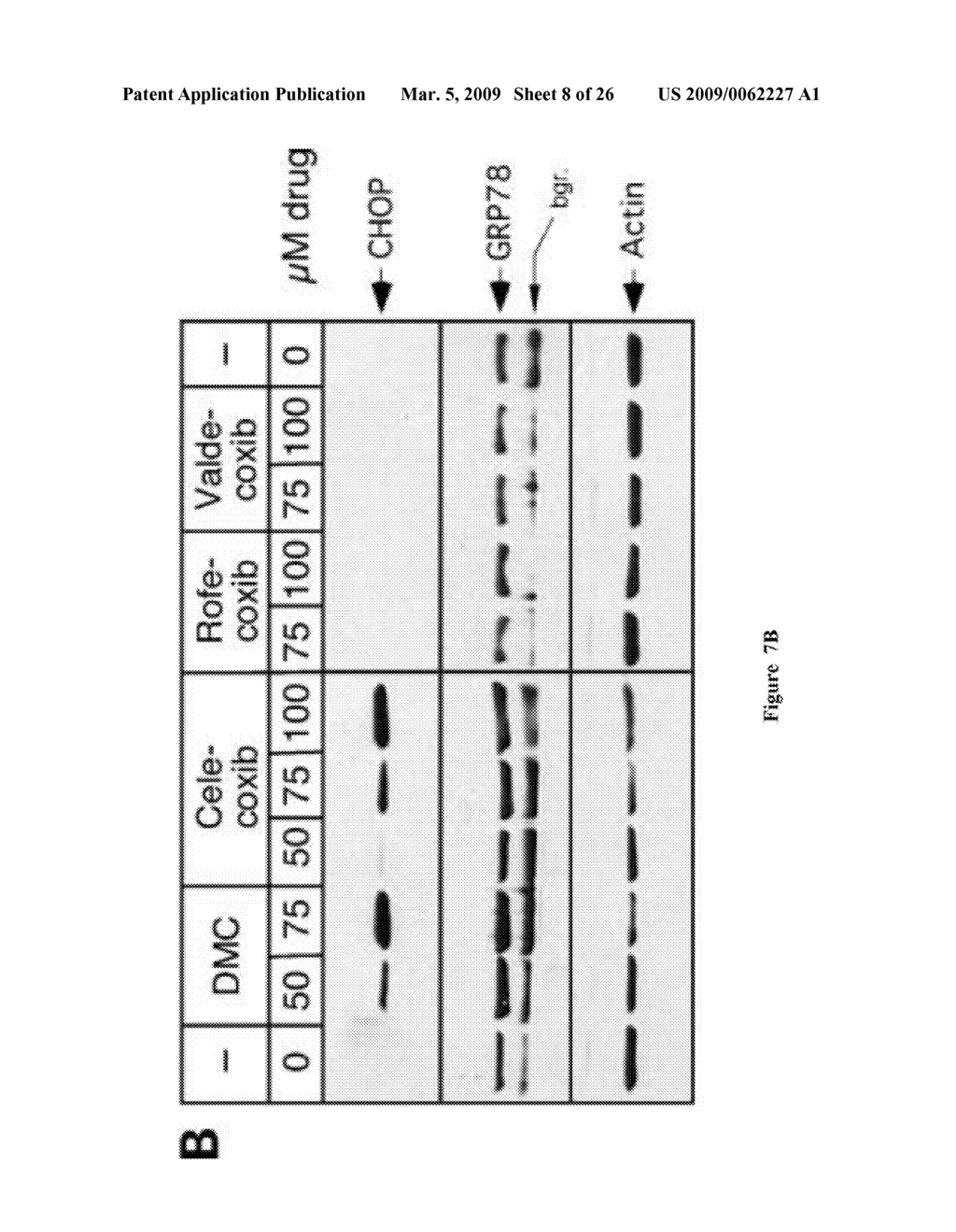 METHODS AND COMPOSITIONS FOR INDUCING APOPTOSIS BY STIMULATING ER STRESS - diagram, schematic, and image 09