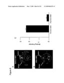 TUMOR-TARGETING EVALUATION METHODOLOGY AND COMPOUNDS RELATED THERETO diagram and image