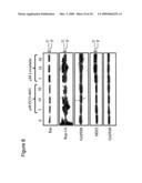 TUMOR-TARGETING EVALUATION METHODOLOGY AND COMPOUNDS RELATED THERETO diagram and image