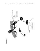 TUMOR-TARGETING EVALUATION METHODOLOGY AND COMPOUNDS RELATED THERETO diagram and image