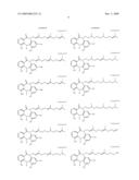 TUMOR-TARGETING EVALUATION METHODOLOGY AND COMPOUNDS RELATED THERETO diagram and image