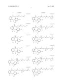 TUMOR-TARGETING EVALUATION METHODOLOGY AND COMPOUNDS RELATED THERETO diagram and image