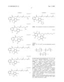 TUMOR-TARGETING EVALUATION METHODOLOGY AND COMPOUNDS RELATED THERETO diagram and image