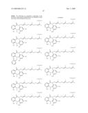 TUMOR-TARGETING EVALUATION METHODOLOGY AND COMPOUNDS RELATED THERETO diagram and image