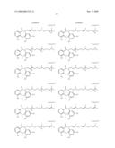 TUMOR-TARGETING EVALUATION METHODOLOGY AND COMPOUNDS RELATED THERETO diagram and image