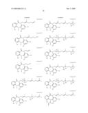 TUMOR-TARGETING EVALUATION METHODOLOGY AND COMPOUNDS RELATED THERETO diagram and image