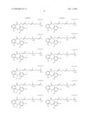 TUMOR-TARGETING EVALUATION METHODOLOGY AND COMPOUNDS RELATED THERETO diagram and image