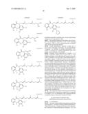 TUMOR-TARGETING EVALUATION METHODOLOGY AND COMPOUNDS RELATED THERETO diagram and image