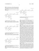 TUMOR-TARGETING EVALUATION METHODOLOGY AND COMPOUNDS RELATED THERETO diagram and image