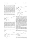 TUMOR-TARGETING EVALUATION METHODOLOGY AND COMPOUNDS RELATED THERETO diagram and image