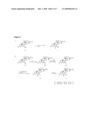  NOVEL METHOD OF SYNTHESIZING ALKYLATED BILE ACID DERIVATIVES diagram and image