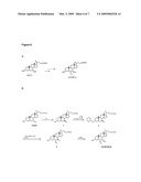  NOVEL METHOD OF SYNTHESIZING ALKYLATED BILE ACID DERIVATIVES diagram and image