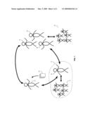 TRIANGULATION METHODOLOGIES diagram and image