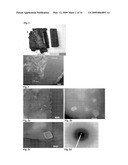 High Temperature Amorphous Composition Based on Aluminum Phosphate diagram and image