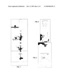 Multifunctional Nanoparticles for Downhole Formation Treatments diagram and image