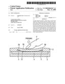 INPUT APPARATUS diagram and image