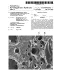 Composite powder with a high efficiency of releasing anions, and its attached substance and manufacturing method diagram and image