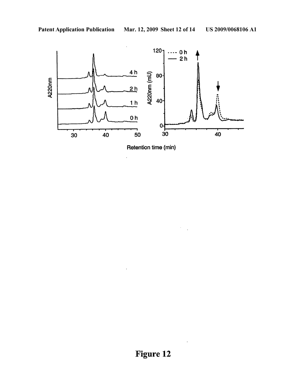 Conjugation Product - diagram, schematic, and image 13