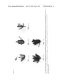 Transgenic expression cartridges for expressing nucleic acids in the flower tissue of plants diagram and image