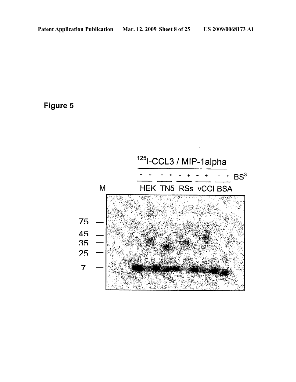 NOVEL CC-CHEMOKINE ANTAGONISTS - diagram, schematic, and image 09