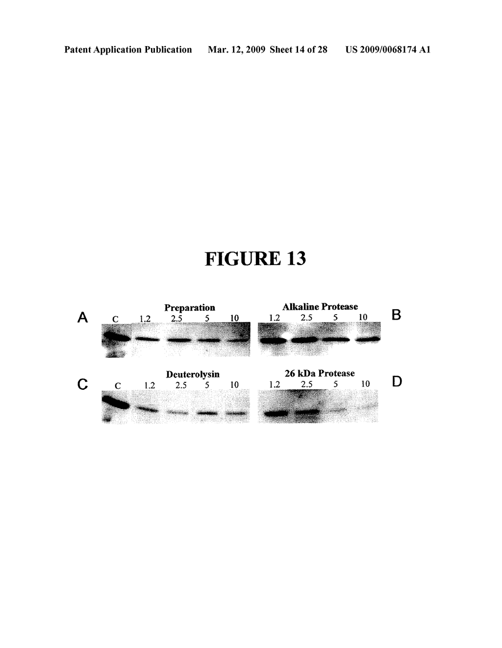 THERAPEUTIC ALKALINE PROTEASE COMPOSITIONS AND USE IN FACILITATING THE TRANSPORT OF AGENTS ACROSS THE GASTROINTESTINAL MUCOSAL LINING - diagram, schematic, and image 15