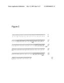 Human Monoclonal Antibody Specific for Lipopolysaccharides (LPS) of the Pseudomonas Aeruginosa IATS 011 Serotype diagram and image