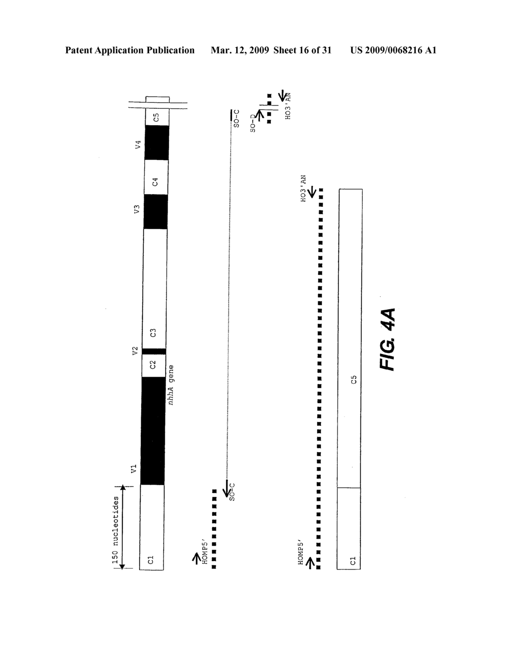 MODIFIED SURFACE ANTIGEN - diagram, schematic, and image 17