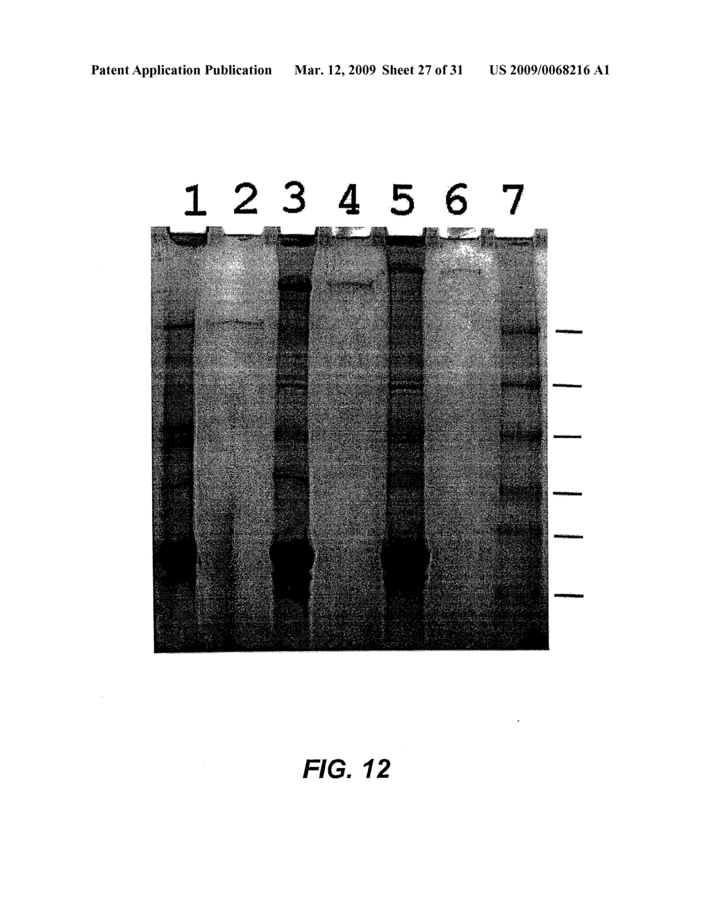 MODIFIED SURFACE ANTIGEN - diagram, schematic, and image 28