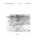 ATTENUATED MYCOPLASMA GALLISEPTICUM STRAINS diagram and image