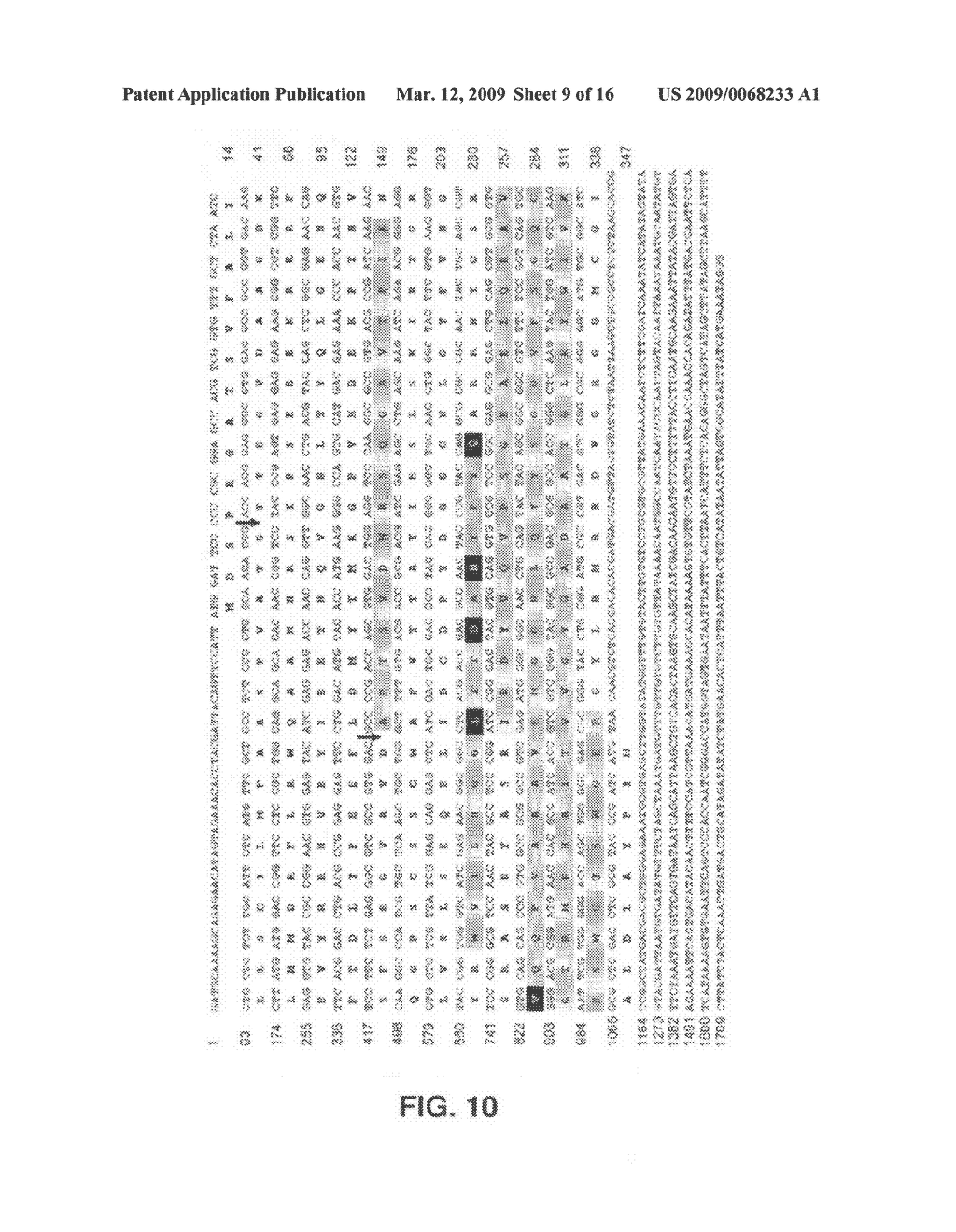 METHODS AND COMPOSITIONS FOR DIAGNOSIS AND IMMUNOTHERAPY OF POLLEN ALLERGY - diagram, schematic, and image 10