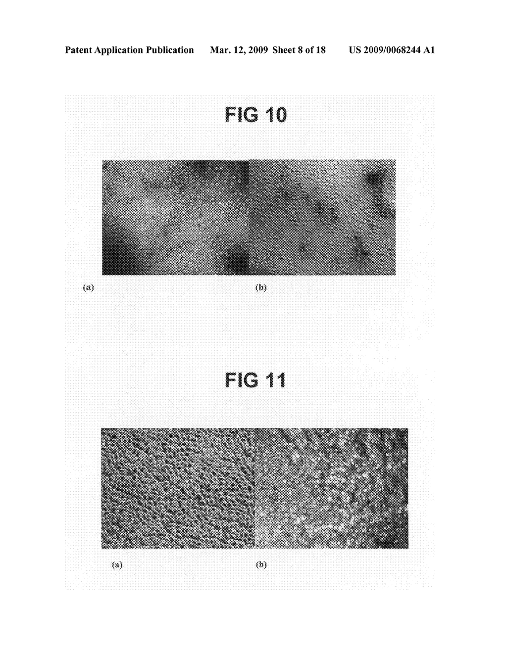 Polymeric/carbon composite materials for use in medical devices - diagram, schematic, and image 09