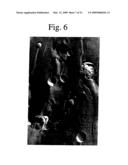 Encapsulation of Bioactive Complexes in Liposomes diagram and image