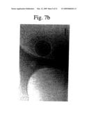 Encapsulation of Bioactive Complexes in Liposomes diagram and image